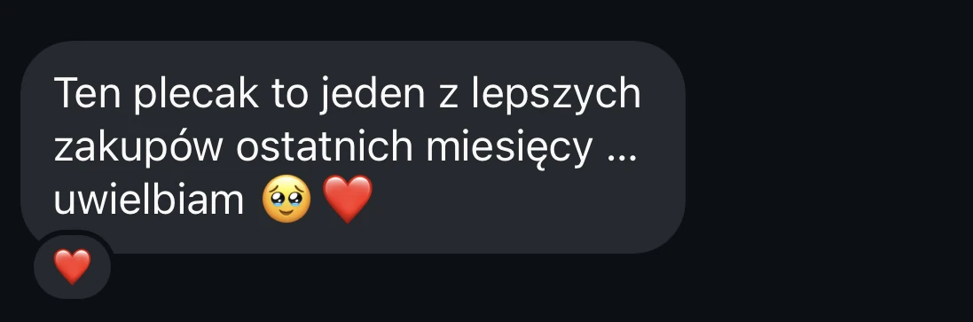 Wiadomość na Instagramie o plecaku jako jednym z lepszych zakupów ostatnich miesięcy. Dane rozmówcy ukryte.